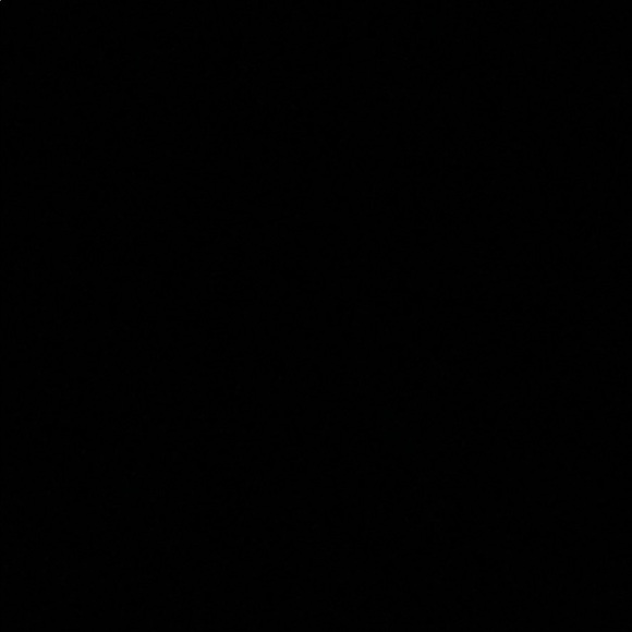 Meet your Posher, Ava - Picture 1 of 1